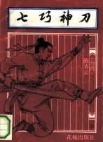 七巧神刀全文阅读