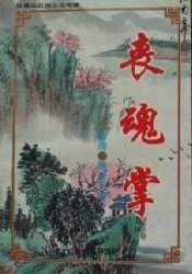 丧魂掌全文阅读